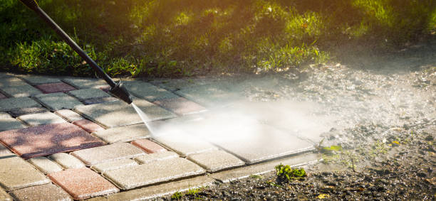 Best Soft Washing  in Ahoskie, NC